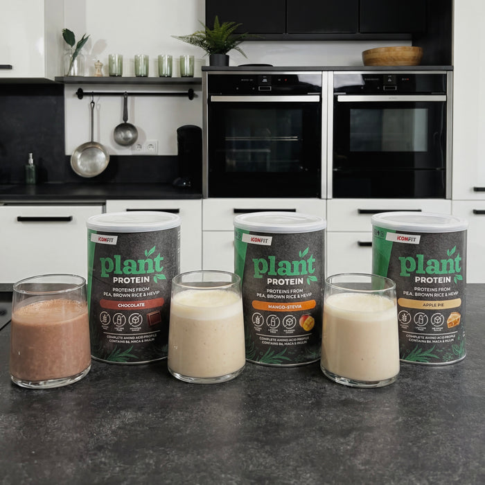 ICONFIT Augu Proteīns (480g)