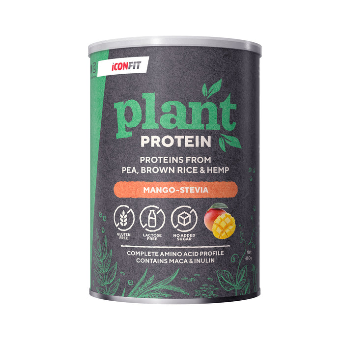ICONFIT Augu Proteīns (480g)